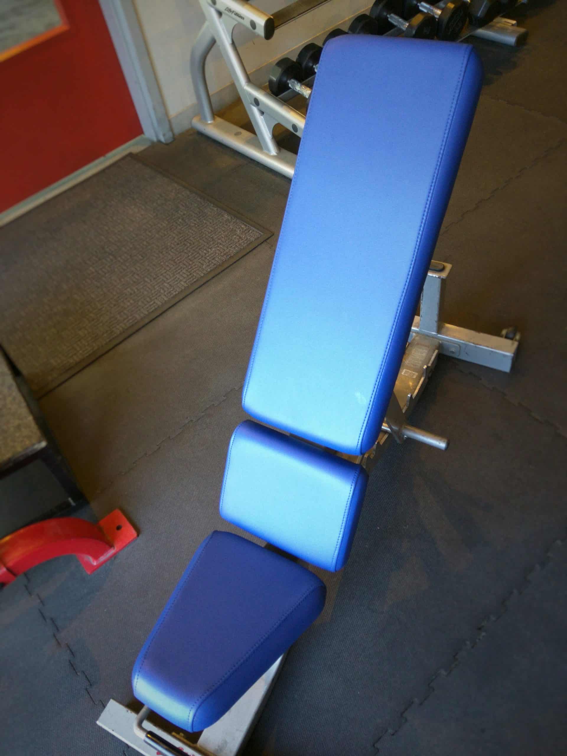Life Fitness Adjustable Incline Recovered in Royal BoltaSport Olympus